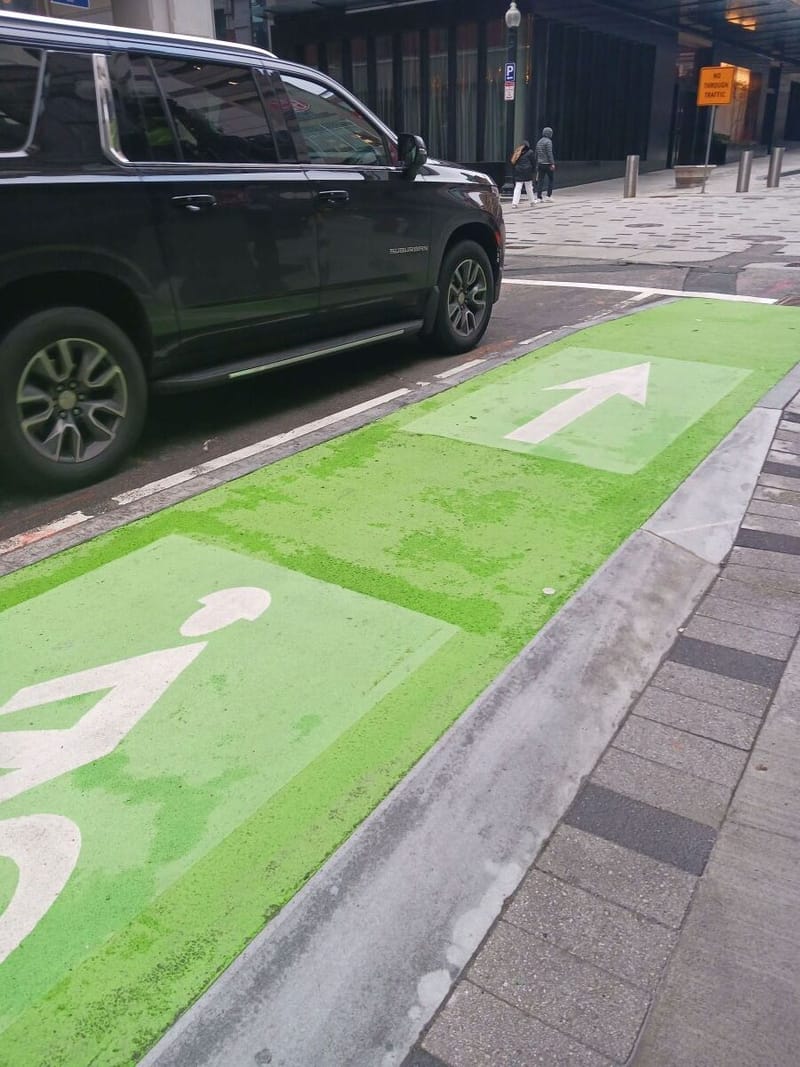 Change.org petition urging city leaders to install Pine Street bike lane circulates after committee votes to reassess feasibility and interest post image